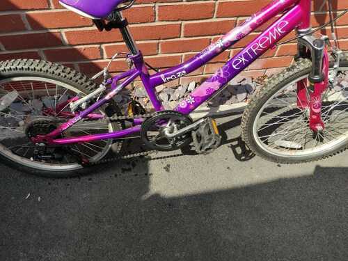 Extreme Kraze 20 inch Girls' Mountain Bike