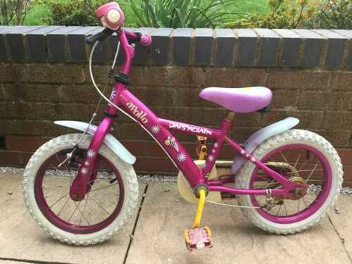 Little girls Daisy Chain bike age 3/5 years