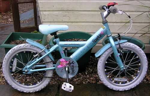 Girl's APOLLO Sparkle BIKE Ages 5-7 with 16