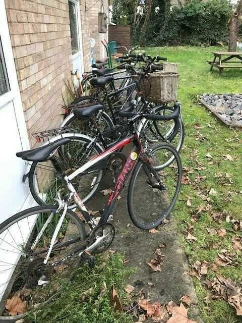 Job Lot of Adult Bikes