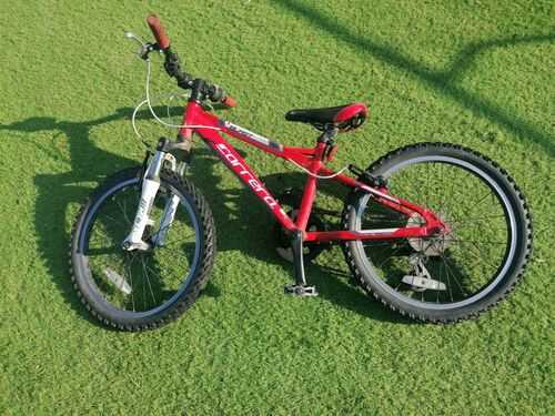 Carrera Blast junior mountain bike. 20